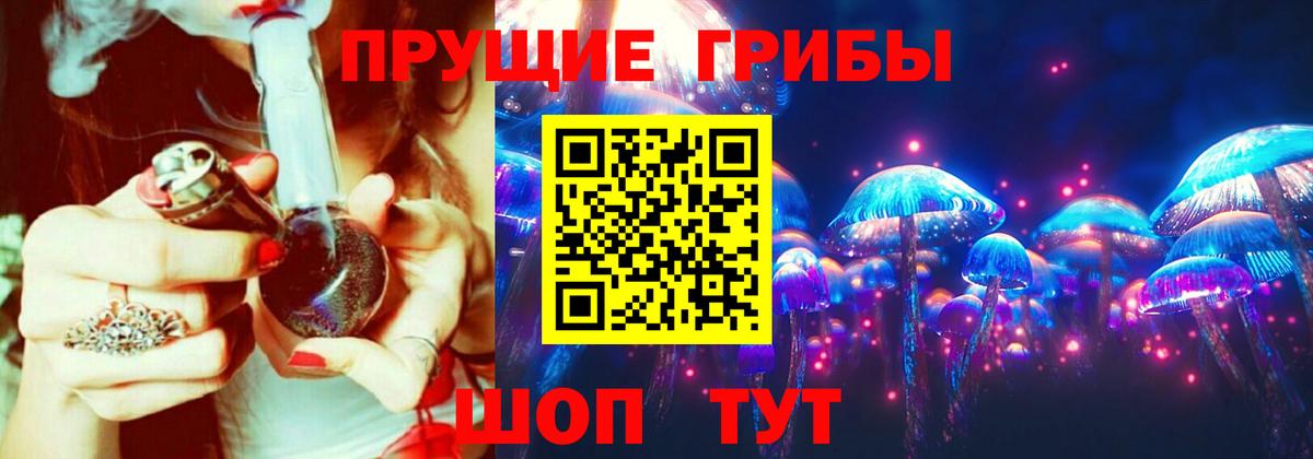 Галлюциногенные грибы GOLDEN TEACHER  Вход с VPN  Медногорск 